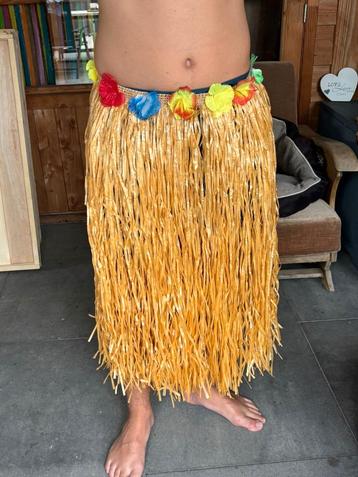 Hawai rokjes beschikbaar voor biedingen