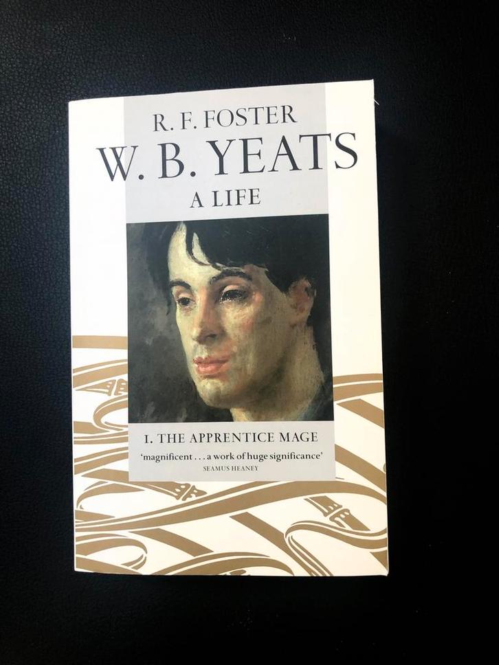 W.B. Yeats A Life. 1. The apprentice Maze door R.F. Foster, Boeken, Biografieën, Nieuw, Kunst en Cultuur, Ophalen of Verzenden