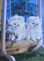 twee witte poezen op een roze schommelstoel - nieuw, Verzamelen, Ansichtkaarten | Dieren, Ongelopen, Verzenden, 1980 tot heden