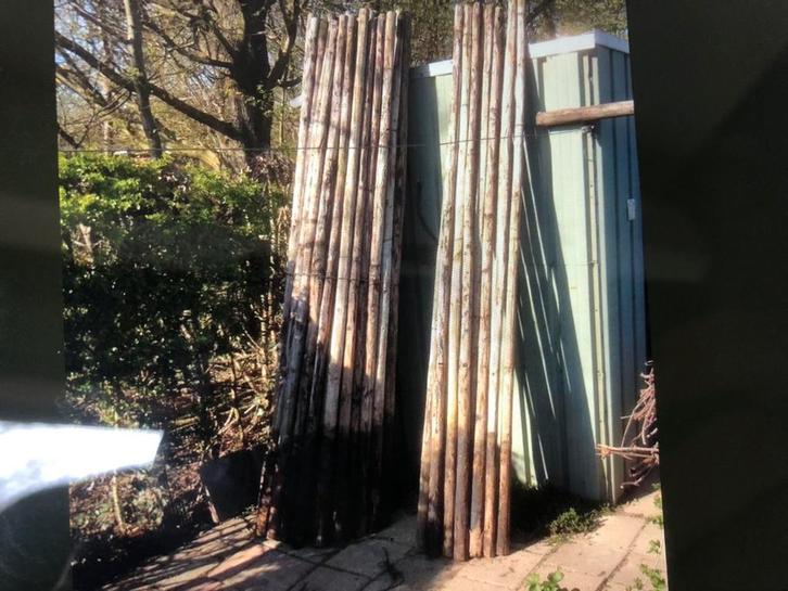 Te koop boompalen weidepalen  palen van duurzaam hout, Tuin en Terras, Palen, Balken en Planken, Zo goed als nieuw, Palen, 250 cm of meer