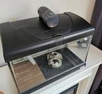 60L Aquarium + Tetra EX 700 plus canister + accesories, Ophalen, Leeg aquarium