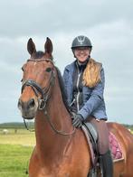 Ruiter aangeboden voor paard opleiden, zadel mak maken etc.