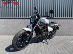 Kawasaki ELIMINATOR 500 (bj 2025), Motoren, 450 cc, Chopper, Bedrijf