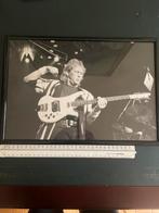 Yes muziekgroep foto Chris Squire, Antiek en Kunst, Kunst | Tekeningen en Foto's, Ophalen of Verzenden