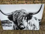 Canvas Schotse hooglander xl €15,- afhaal, Nieuw, Ophalen