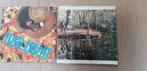 LP Peter Koelewijn, Cd's en Dvd's, Ophalen of Verzenden, Gebruikt, 12 inch, Levenslied of Smartlap