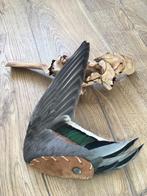 Smudge vleugel / Taxidermie / sjamanisme / opgezet, Ophalen of Verzenden, Nieuw, Vogel, Overige typen