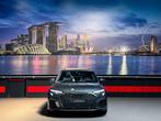 Audi A3 Limousine 35 TFSI edition |Leder|pano|camera|, 12 maanden, 4 cilinders, Bedrijf, 690 kg
