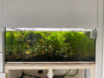 Aquarium en toebehoren in een koop beschikbaar voor biedingen