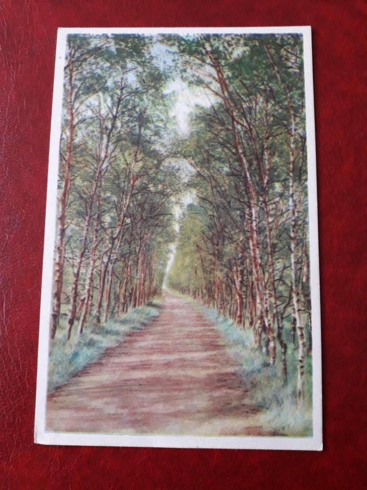 Leusden Leusderheide "Bergzicht" (482), Verzamelen, Ansichtkaarten | Nederland, Ongelopen, 1920 tot 1940, Ophalen