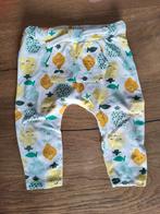 Vrolijk broekje, Kinderen en Baby's, Babykleding | Maat 74, Ophalen of Verzenden