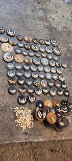 Zwijn tanden everzwijn jacht jagen Veluwe, Ophalen of Verzenden, 250 mm of meer