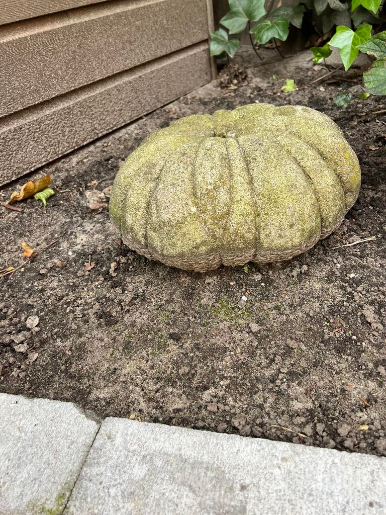 Pompoen van beton, Ophalen of Verzenden, Zo goed als nieuw, Beton