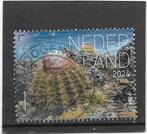 Nederland 2024 Beleef de Natuur Bonaire - Meldencactus, Verzenden, Na 1940, Gestempeld