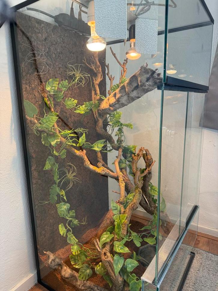 Terrarium 1m x 0,50m, Dieren en Toebehoren, Reptielen en Amfibieën | Toebehoren, Gebruikt, Terrarium of Paludarium, Ophalen