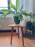 Vintage 3 poot planten tafeltje, Minder dan 55 cm, Gebruikt, Rond, Ophalen of Verzenden