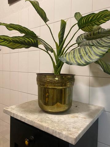 Prachtige vintage  grote messing bloempot beschikbaar voor biedingen