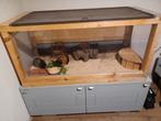 Caviaverblijf exclusief cavia's, Dieren en Toebehoren, Ophalen, Gebruikt, Overige typen