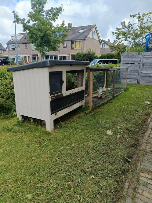 2 mannetjes GRATIS af te halen incl. Toebehoren, Dieren en Toebehoren, Pluimvee | Toebehoren, Zo goed als nieuw, Kippenhok of Kippenren
