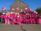 Loopgroep carnaval Pink Panther 28 personen, Ophalen of Verzenden, Zo goed als nieuw, Maat 46/48 (XL) of groter, Carnaval
