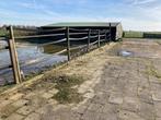 Paarden omheining, Dieren en Toebehoren, Weidegang