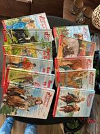 Complete serie Romana & Ragebol paarden boeken, Boeken, Kinderboeken | Jeugd | 10 tot 12 jaar, Ophalen of Verzenden, Gelezen, Fictie