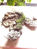 Boomstronk Lengte 45 cm, Ophalen of Verzenden, Overige typen