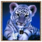 diamond painting full., Ophalen of Verzenden, Nieuw, Knutselwerk