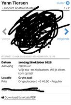 1 ticket Yann Tiersen, Tickets en Kaartjes, Eén persoon