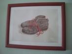 De schoenen van Abe , Jopie Huisman  !!!!!, Antiek en Kunst, Ophalen of Verzenden
