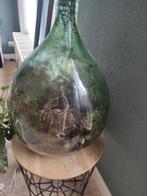 Terrarium in glazen fles, Huis en Inrichting, Kamerplanten, Ophalen, Overige soorten, Halfschaduw, In pot