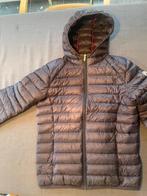 JOTT, donsjas heren, mt M, marineblauw, ongedragen!, Kleding | Heren, Nieuw, Ophalen of Verzenden, JOTT, Maat 48/50 (M)