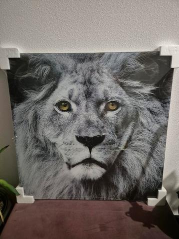 Leeuw glazen schilderij beschikbaar voor biedingen