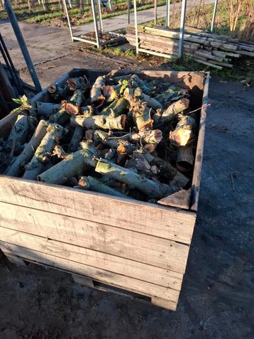 Appelhout/kachelhout/haardhout  beschikbaar voor biedingen