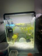 30 liter aquarium superfish, Ophalen of Verzenden, Zo goed als nieuw, Leeg aquarium