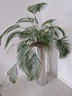 Vaas, Huis en Inrichting, Ophalen, Halfschaduw, Minder dan 100 cm