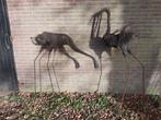 2 metalen tuinvogels, Ophalen, Gebruikt