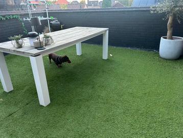 Groot stuk Craenenbroek Kunstgras - Balkon Perfect! beschikbaar voor biedingen