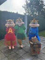 Loopgroep carnaval, Kleding | Dames, Carnavalskleding en Feestkleding, Ophalen of Verzenden, Zo goed als nieuw, Carnaval