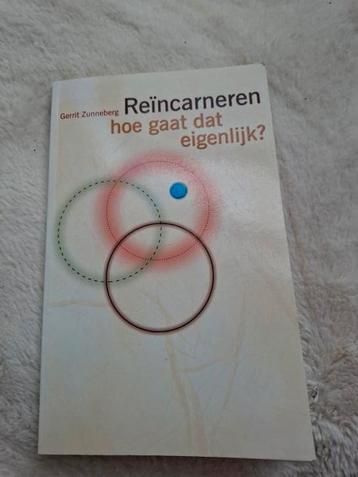 G. Zunneberg - Reincarneren, hoe gaat dat eigenlijk? beschikbaar voor biedingen