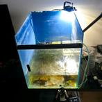 Aquarium (kweek), Ophalen, Gebruikt, Leeg aquarium