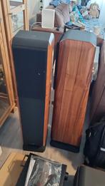 Chario Constellation Cygnus luidsprekers, Gebruikt, 120 watt of meer, Front, Rear of Stereo speakers, Ophalen