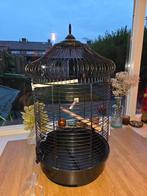 Vogelkooi, Ophalen, Metaal, Vogelkooi