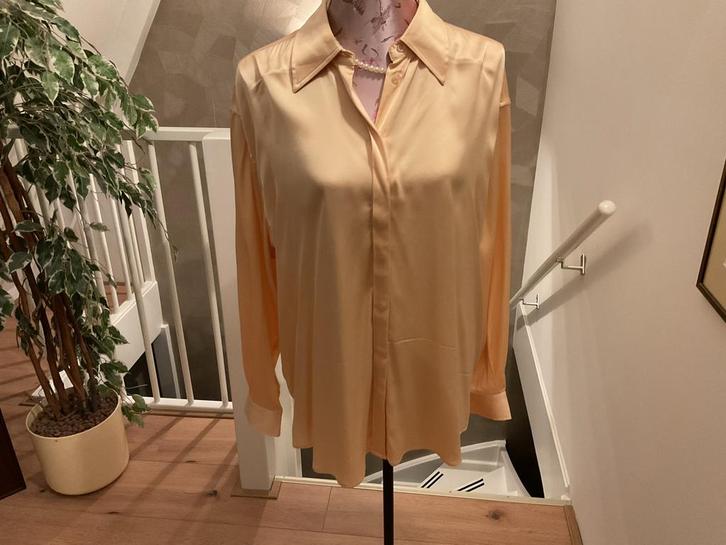 Nieuwe Claudia Strater blouse  maat 46, Kleding | Dames, Blouses en Tunieken, Nieuw, Maat 42/44 (L), Overige kleuren, Ophalen of Verzenden