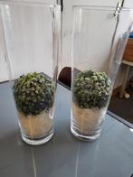 te koop 2 vazen  met buxes bol 45 cm hoog, Ophalen of Verzenden, Overige kleuren, Glas, Minder dan 50 cm