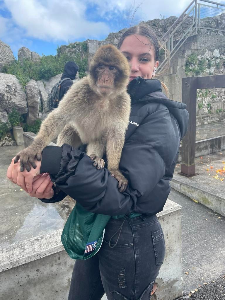 Dierenoppas!, Dieren en Toebehoren, Dierenvoeding, Ophalen of Verzenden, Hond