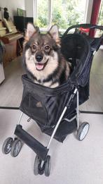 Puppy buggy, Ophalen, Gebruikt