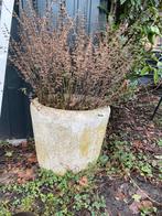 2 Betonnen plantenpotten voor binnen/buiten, Tuin en Terras, Bloembakken en Plantenbakken, Gebruikt, Minder dan 30 cm, Minder dan 60 cm