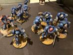 Warhammer 40k space marines combat patrol (geverfd), Figuurtje(s), Ophalen of Verzenden, Geverfd, Warhammer 40000