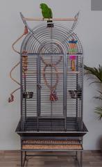 Mooie vogelkooi!, Ophalen, Zo goed als nieuw, Metaal, Vogelkooi